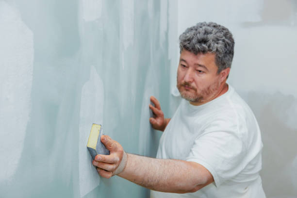 Best Drywall Crack Repair  in St Peters, MO